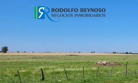 130 ha. en Villa Elisa (ER)